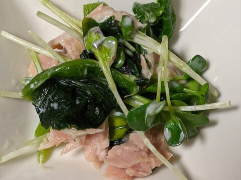 かいわれとツナのサラダ